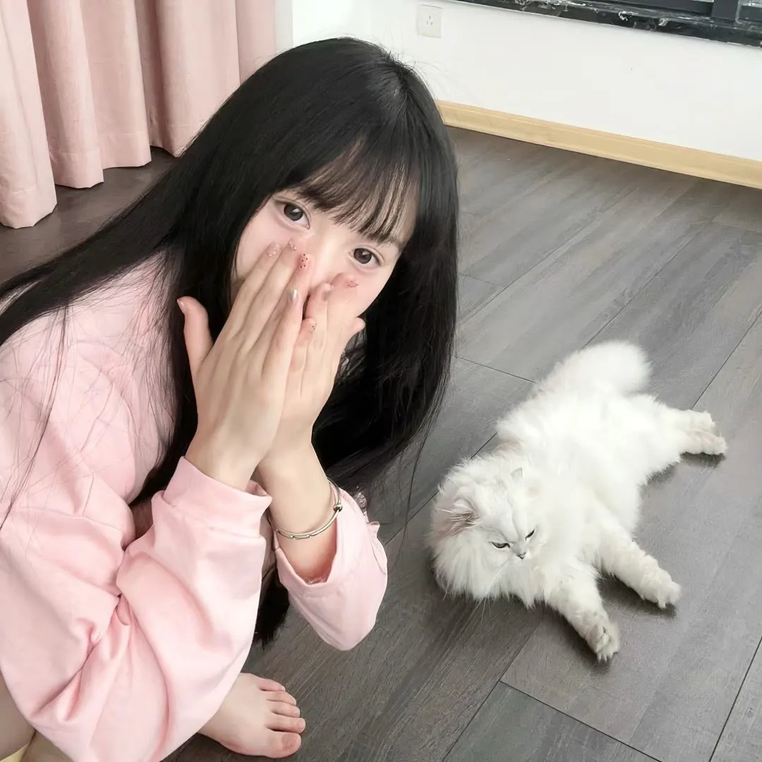 修复体